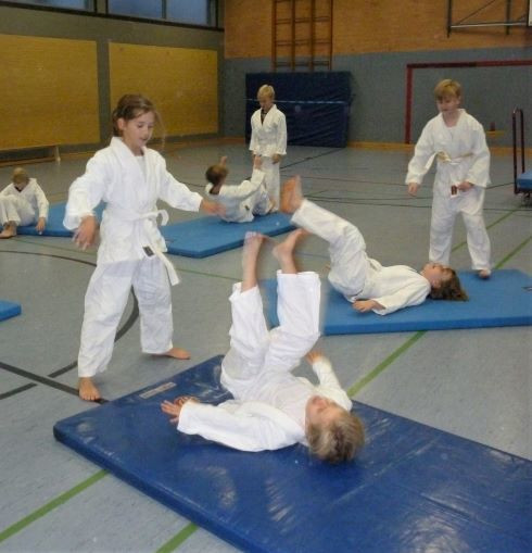 Judoprojekt 